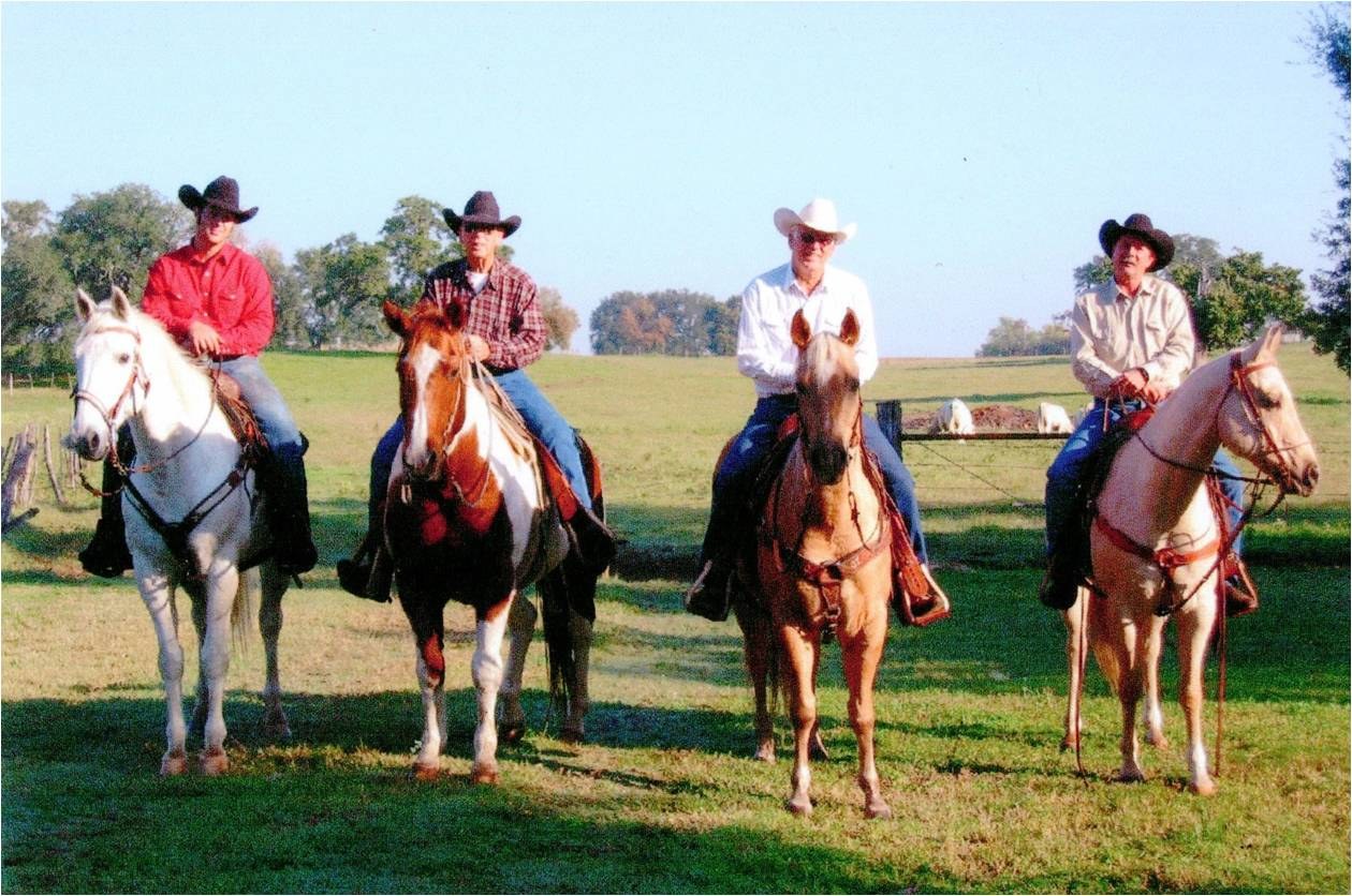 Four riders on horseback in a line on green pasture.