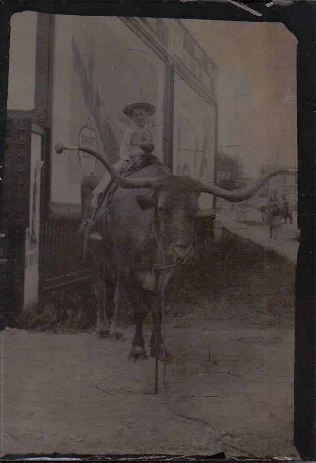 A small old photograph of a rider on a longhorn steer.